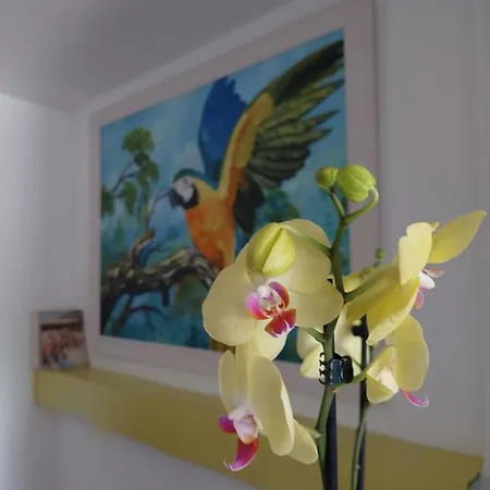 Affittacamere Lisbon's At Campo Pequeno Lisbona